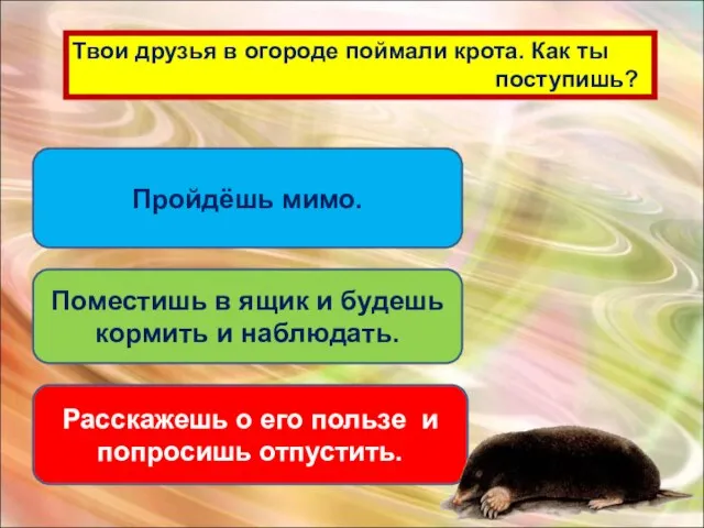 Твои друзья в огороде поймали крота. Как ты поступишь? Пройдёшь мимо. Поместишь