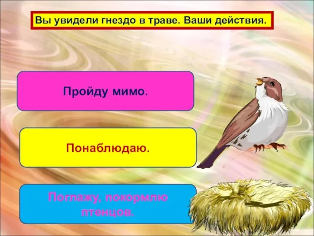 Вы увидели гнездо в траве. Ваши действия. Пройду мимо. Понаблюдаю. Поглажу, покормлю птенцов.