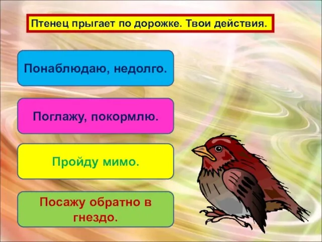 Птенец прыгает по дорожке. Твои действия. Поглажу, покормлю. Пройду мимо. Посажу обратно в гнездо. Понаблюдаю, недолго.