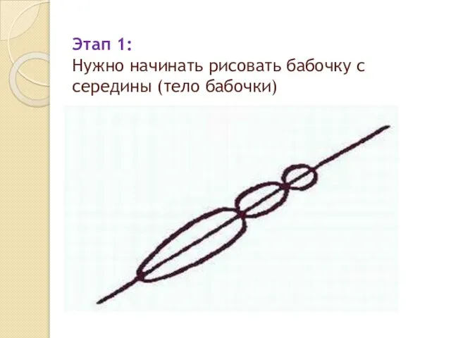 Этап 1: Нужно начинать рисовать бабочку с середины (тело бабочки)