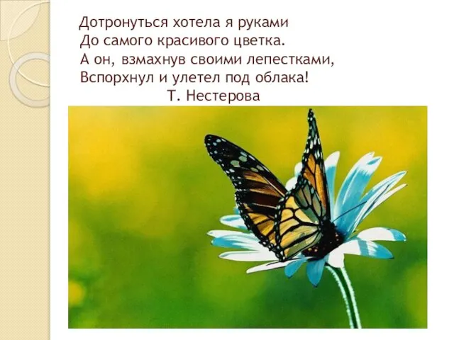 Дотронуться хотела я руками До самого красивого цветка. А он, взмахнув своими