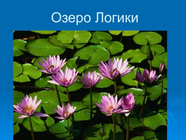 Озеро Логики