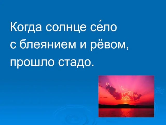 Когда солнце се́ло с блеянием и рёвом, прошло стадо.