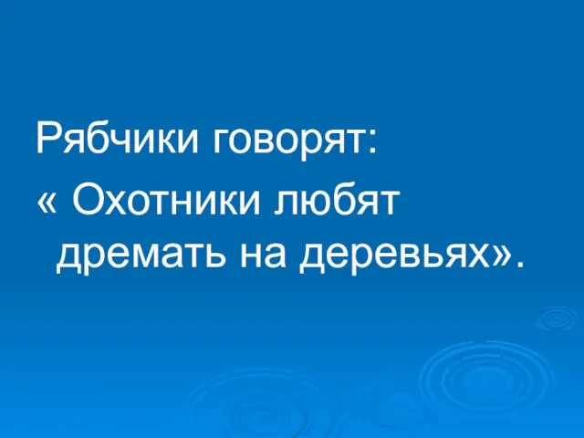 Рябчики говорят: « Охотники любят дремать на деревьях».