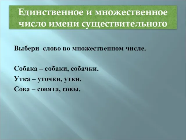 Единственное и множественное число имени существительного Выбери слово во множественном числе. Собака