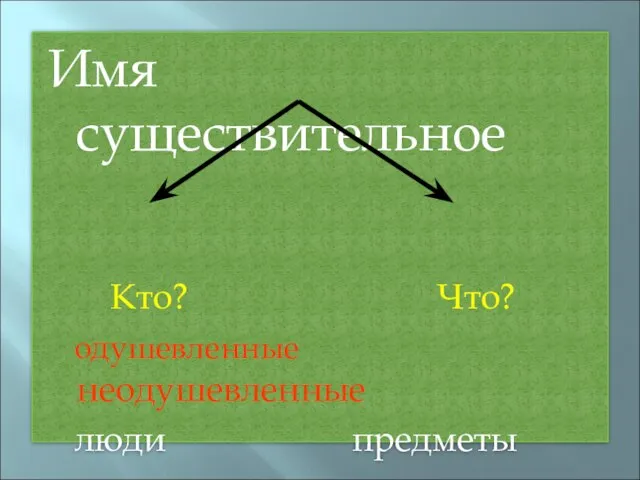 Имя существительное Кто? Что? одушевленные неодушевленные люди предметы животные растения