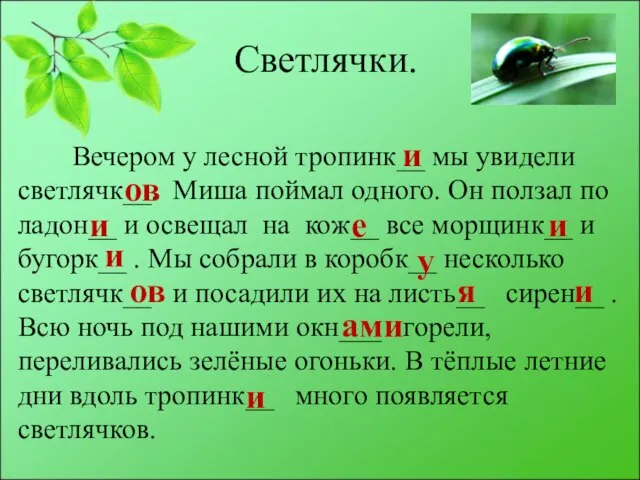 Светлячки. Вечером у лесной тропинк__ мы увидели светлячк__. Миша поймал одного. Он