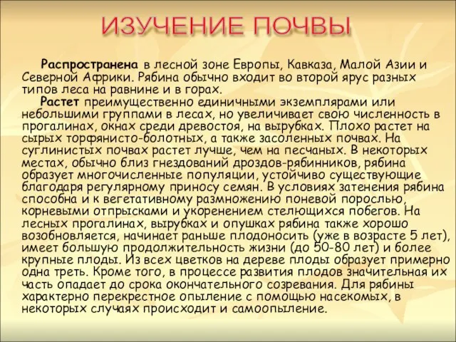 Распространена в лесной зоне Европы, Кавказа, Малой Азии и Северной Африки. Рябина