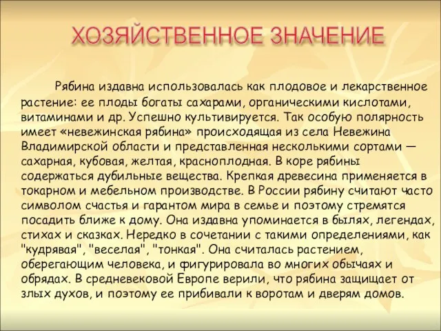 Рябина издавна использовалась как плодовое и лекарственное растение: ее плоды богаты сахарами,