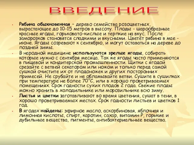 Рябина обыкновенная – дерево семейства розоцветных, вырастающее до 10-15 метров в высоту.