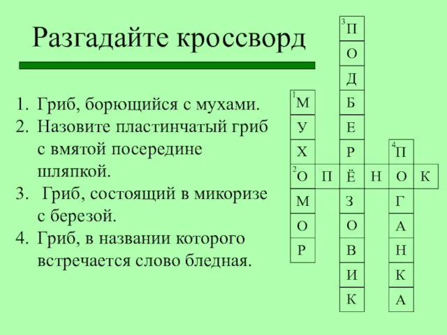 2 Гриб, борющийся с мухами. Назовите пластинчатый гриб с вмятой посередине шляпкой.