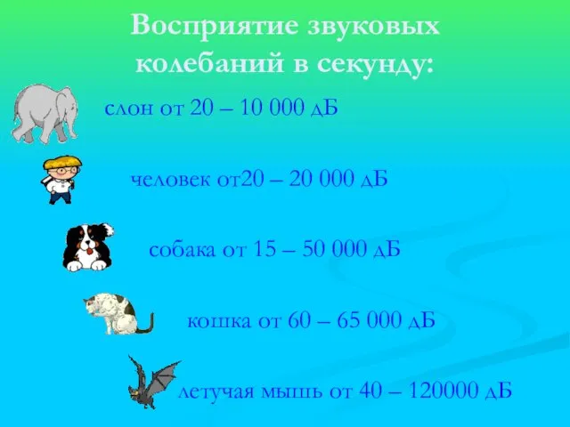 Восприятие звуковых колебаний в секунду: слон от 20 – 10 000 дБ