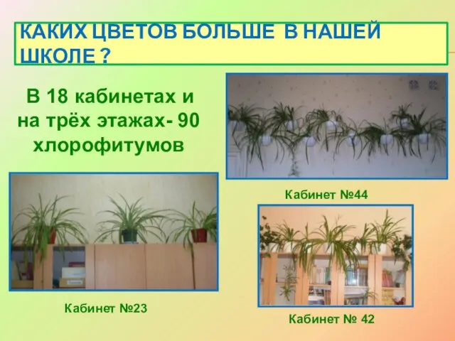 КАКИХ ЦВЕТОВ БОЛЬШЕ В НАШЕЙ ШКОЛЕ ? Кабинет № 42 Кабинет №44