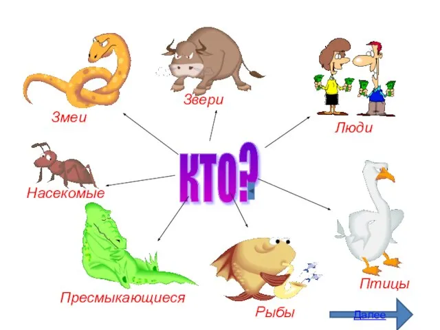 кто? Змеи Звери Люди Птицы Рыбы Пресмыкающиеся Насекомые Далее