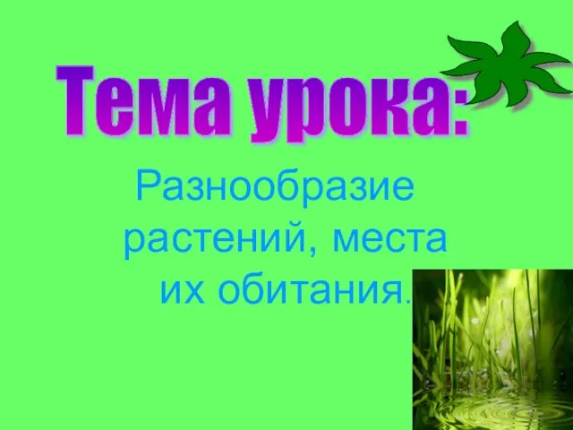 Разнообразие растений, места их обитания. Тема урока: