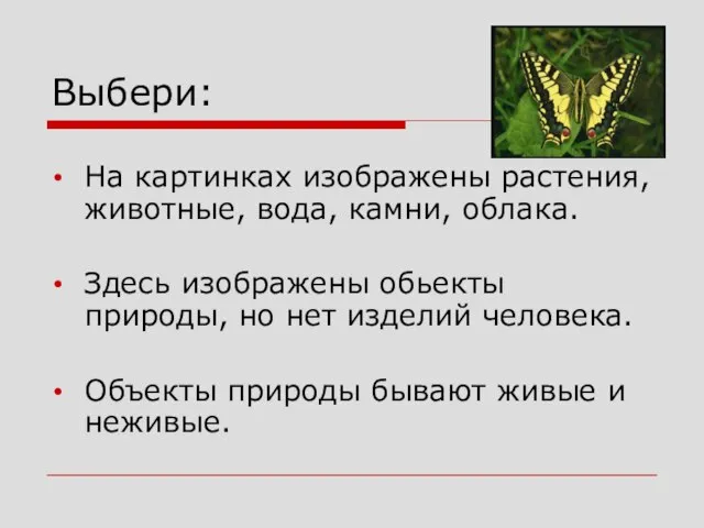 Выбери: На картинках изображены растения, животные, вода, камни, облака. Здесь изображены обьекты