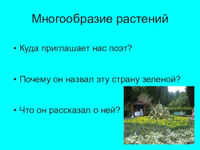 Многообразие растений Куда приглашает нас поэт? Почему он назвал эту страну зеленой?