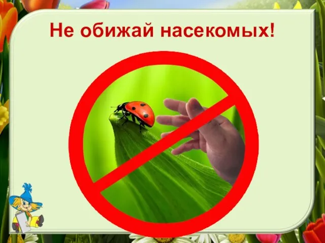 Не обижай насекомых!
