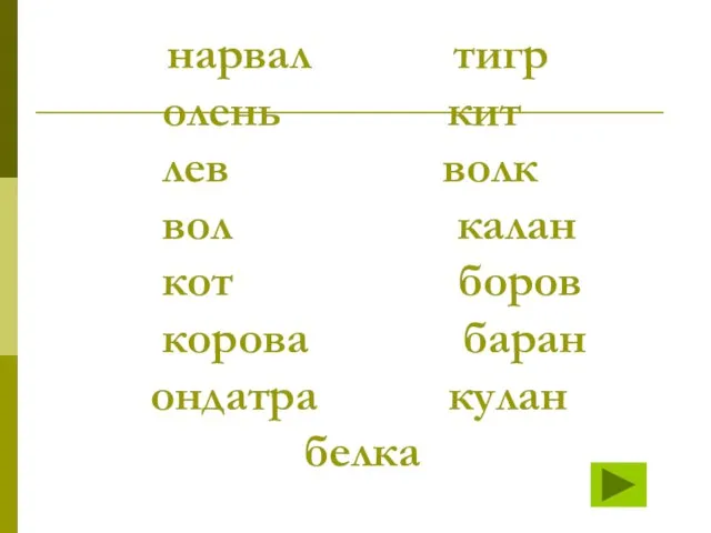 нарвал тигр олень кит лев волк вол калан кот боров корова баран ондатра кулан белка