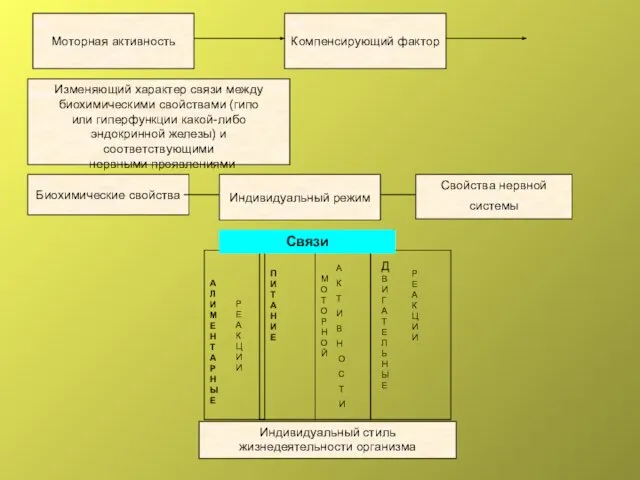 Моторная активность Компенсирующий фактор Изменяющий характер связи между биохимическими свойствами (гипо или