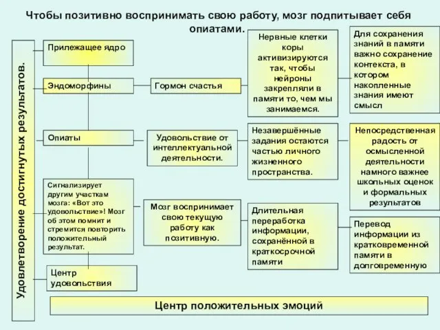 Чтобы позитивно воспринимать свою работу, мозг подпитывает себя опиатами. Удовлетворение достигнутых результатов.