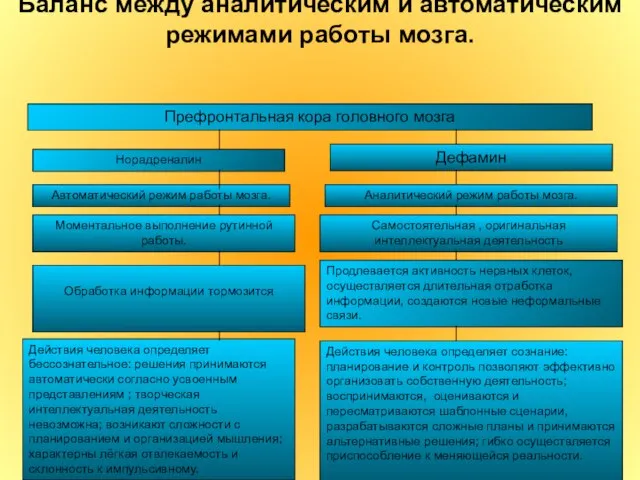 Баланс между аналитическим и автоматическим режимами работы мозга. Автоматический режим работы мозга.