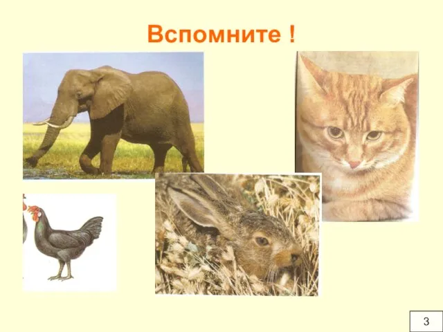 Вспомните ! 3