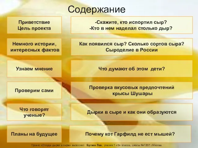 Приветствие Цель проекта Почему кот Гарфилд не ест мышей? Планы на будущее