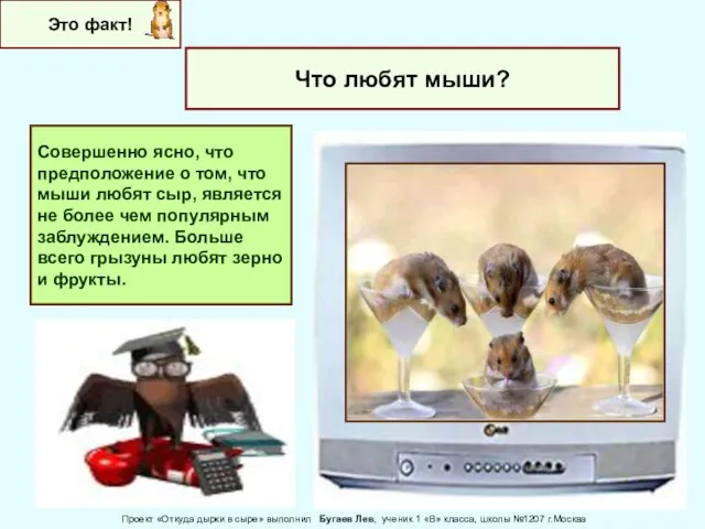 Это факт! Что любят мыши? Совершенно ясно, что предположение о том, что