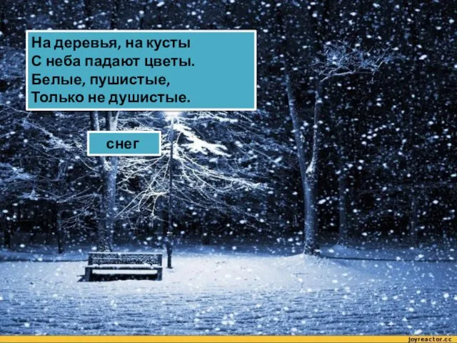 На деревья, на кусты С неба падают цветы. Белые, пушистые, Только не душистые. снег