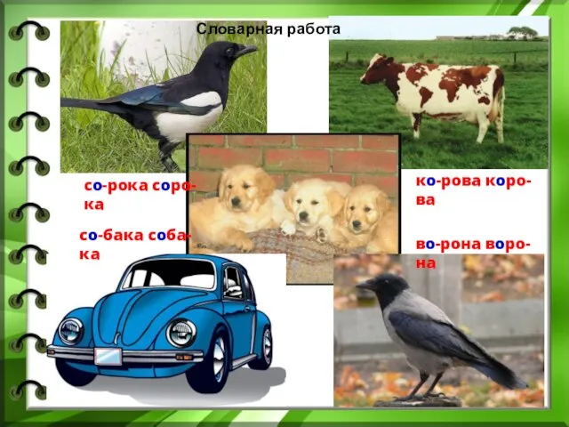 Словарная работа ко-рова коро-ва во-рона воро-на со-рока соро-ка со-бака соба-ка