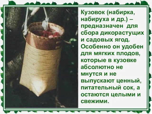 Кузовок (набирка, набируха и др.) –предназначен для сбора дикорастущих и садовых ягод.