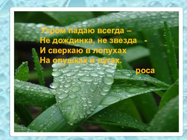 Утром падаю всегда – Не дождинка, не звезда - И сверкаю в