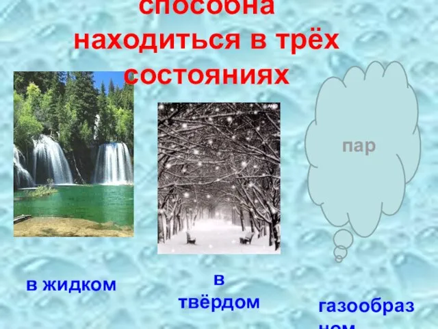 пар в жидком в твёрдом газообразном способна находиться в трёх состояниях