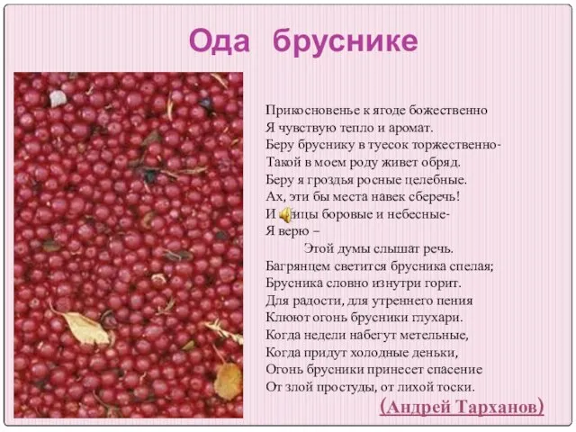 Ода бруснике Прикосновенье к ягоде божественно Я чувствую тепло и аромат. Беру