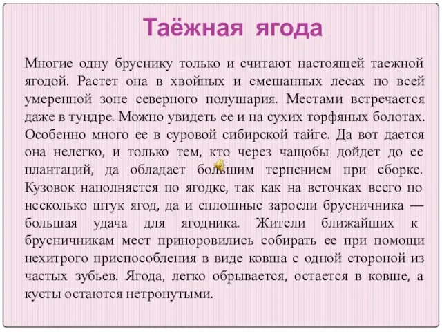 Таёжная ягода Многие одну бруснику только и считают настоящей таежной ягодой. Растет