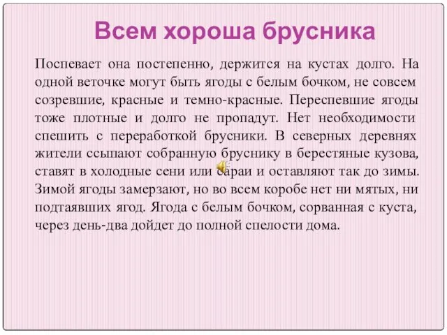 Всем хороша брусника Поспевает она постепенно, держится на кустах долго. На одной