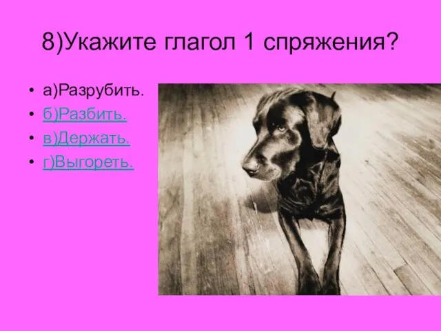 8)Укажите глагол 1 спряжения? а)Разрубить. б)Разбить. в)Держать. г)Выгореть.