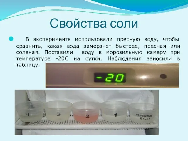 Свойства соли В эксперименте использовали пресную воду, чтобы сравнить, какая вода замерзнет