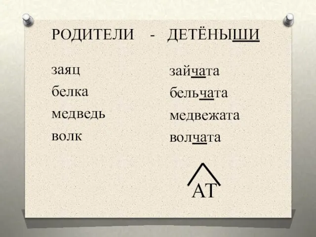 заяц белка медведь волк зайчата бельчата медвежата волчата РОДИТЕЛИ - ДЕТЁНЫШИ АТ