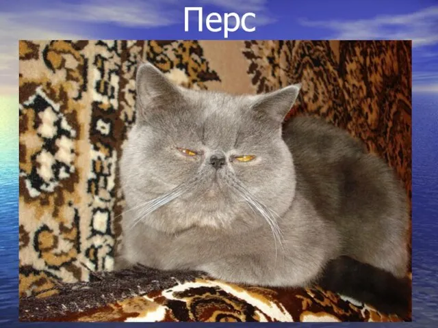 Перс