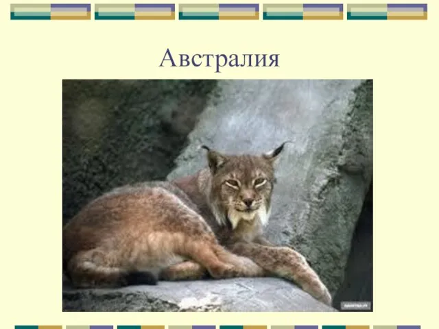 Австралия