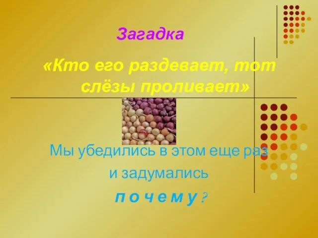 Загадка «Кто его раздевает, тот слёзы проливает» Мы убедились в этом еще