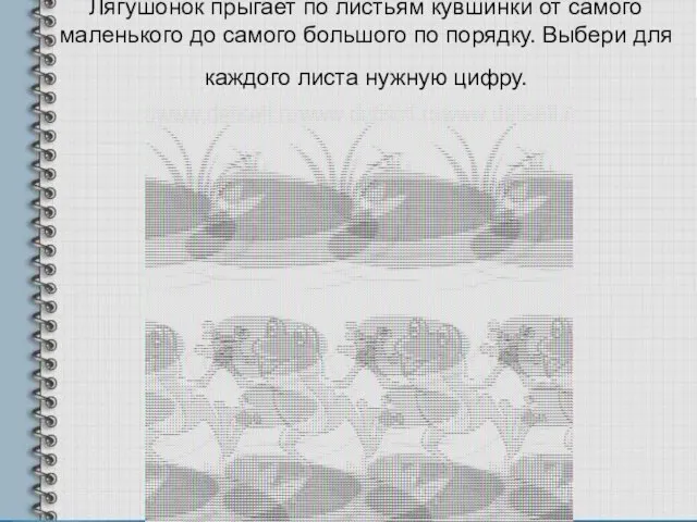 Лягушонок прыгает по листьям кувшинки от самого маленького до самого большого по