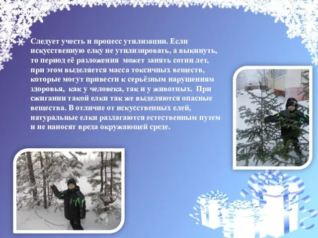 Следует учесть и процесс утилизации. Если искусственную елку не утилизировать, а выкинуть,