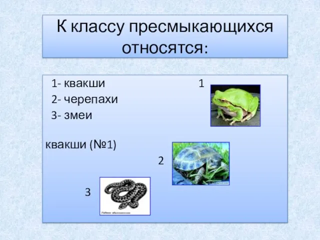 К классу пресмыкающихся относятся: 1- квакши 1 2- черепахи 3- змеи квакши (№1) 2 3