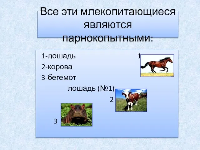 Все эти млекопитающиеся являются парнокопытными: 1-лошадь 1 2-корова 3-бегемот лошадь (№1) 2 3