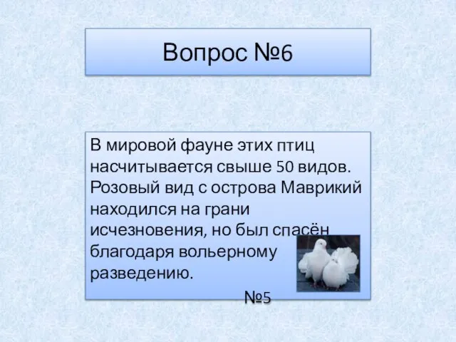 Вопрос №6 В мировой фауне этих птиц насчитывается свыше 50 видов. Розовый