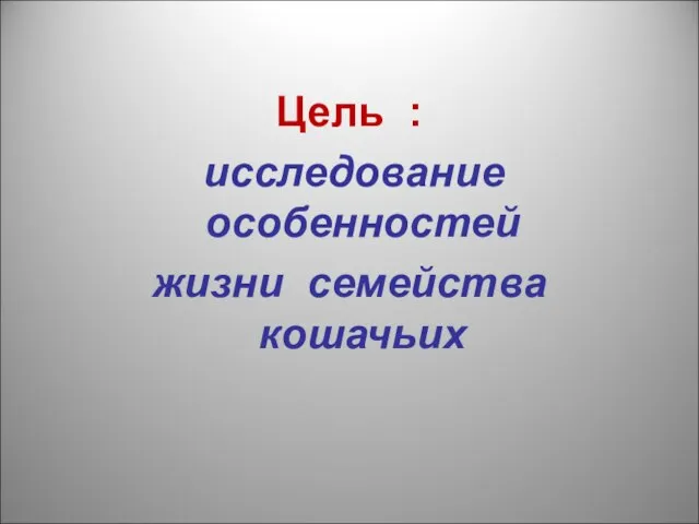 Цель : исследование особенностей жизни семейства кошачьих