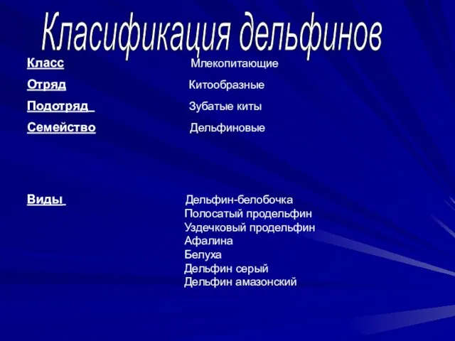 Класификация дельфинов Класс Млекопитающие Отряд Китообразные Подотряд Зубатые киты Семейство Дельфиновые Виды